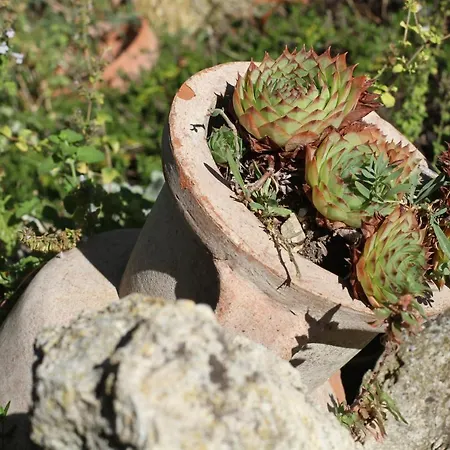 Vecchio Olmo Panzió 3*