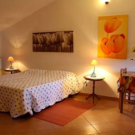 B&B Vecchio Olmo 비테르보