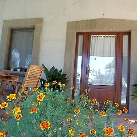 Vecchio Olmo 3*