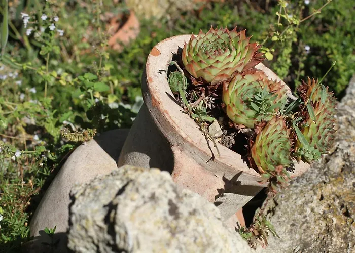 Vecchio Olmo فندق مبيت وإفطار 3*